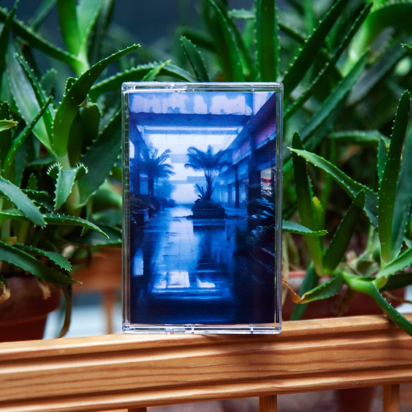 Akira Mall - Optical Outlet cassette